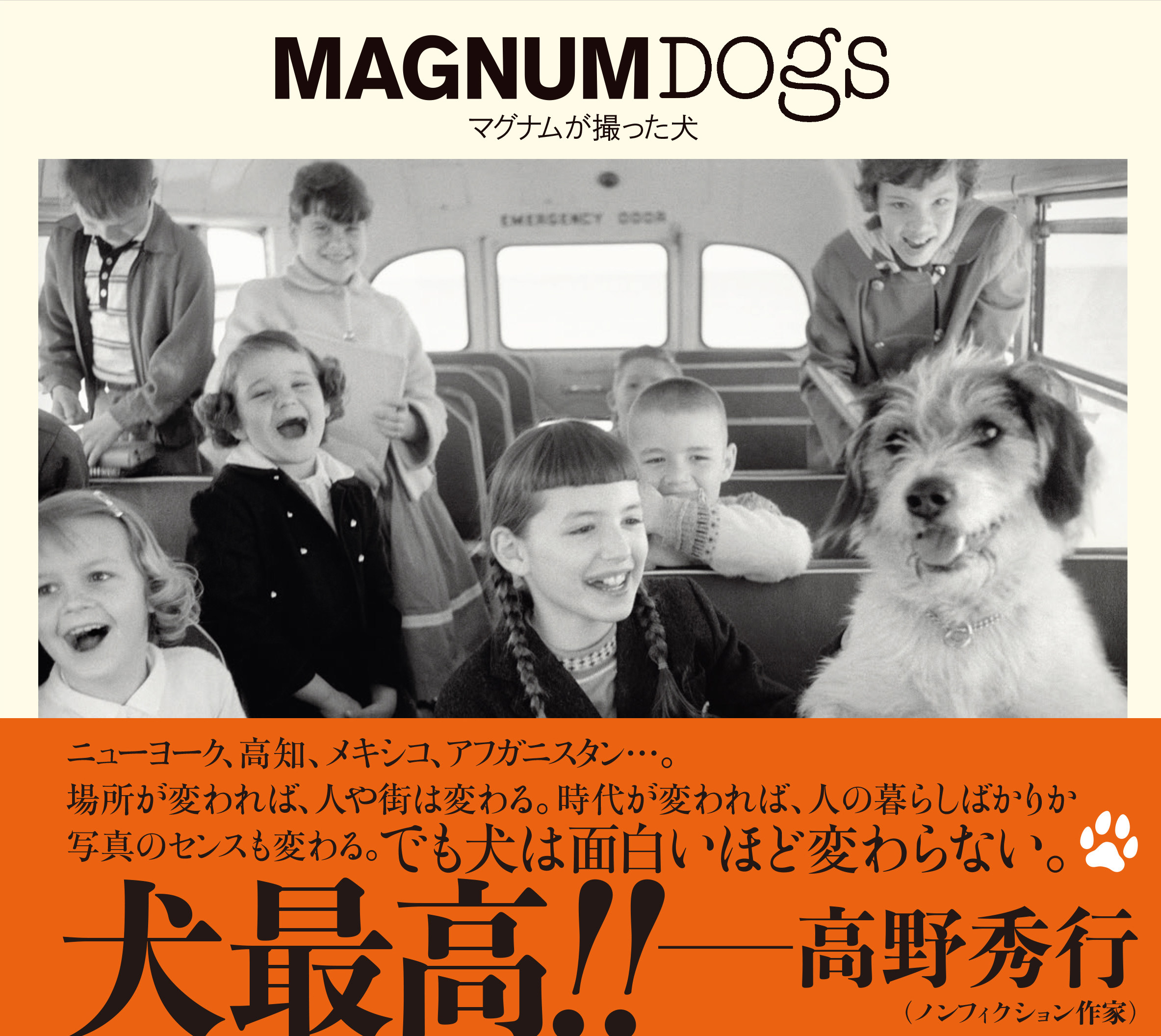 ʐ^WwMAGNUM DOGS }OiBx1025ijI