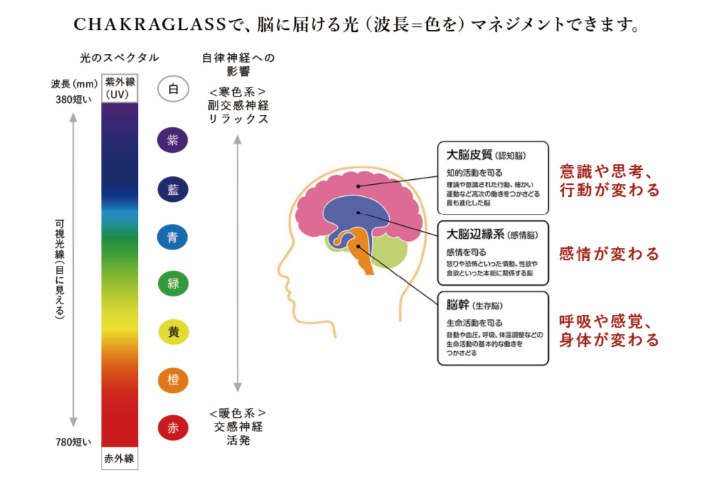 g`NhɒڂuCHAKRAGLASS(`NOX)v̎戵ዾX̕W11JnI