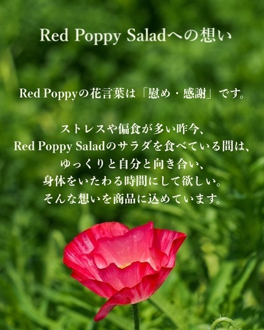 yjT_Iz`bvhT_XuRed Poppy Saladv@ɃI[v!