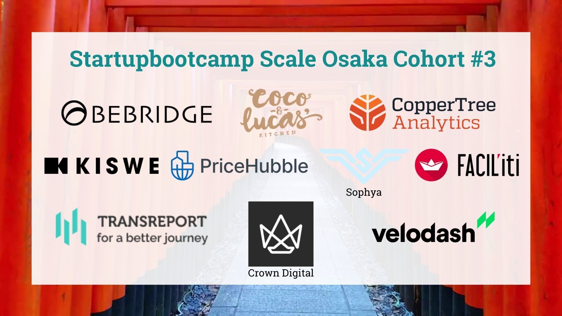 Rainmaking Innovation JapanAANZ[^[vO Startupbootcamp Scale Osaka 3QX^[gAbv10ЂI