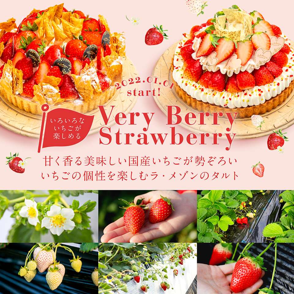 yE] A\C^[uz̍ɂ܂wVery Berry StrawberryxtFAJÒI