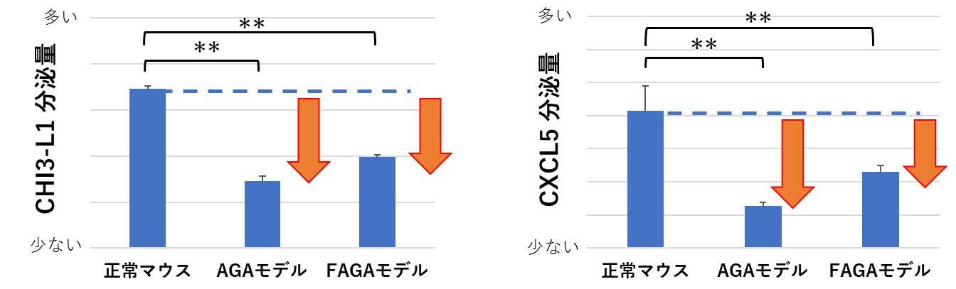 xmYƁAёgDזEւ̎hɂ蕪傳VȈу^pN𔭌@`VȈуAv[`ɂEяǂɑ΂ʂ֊ҁ`