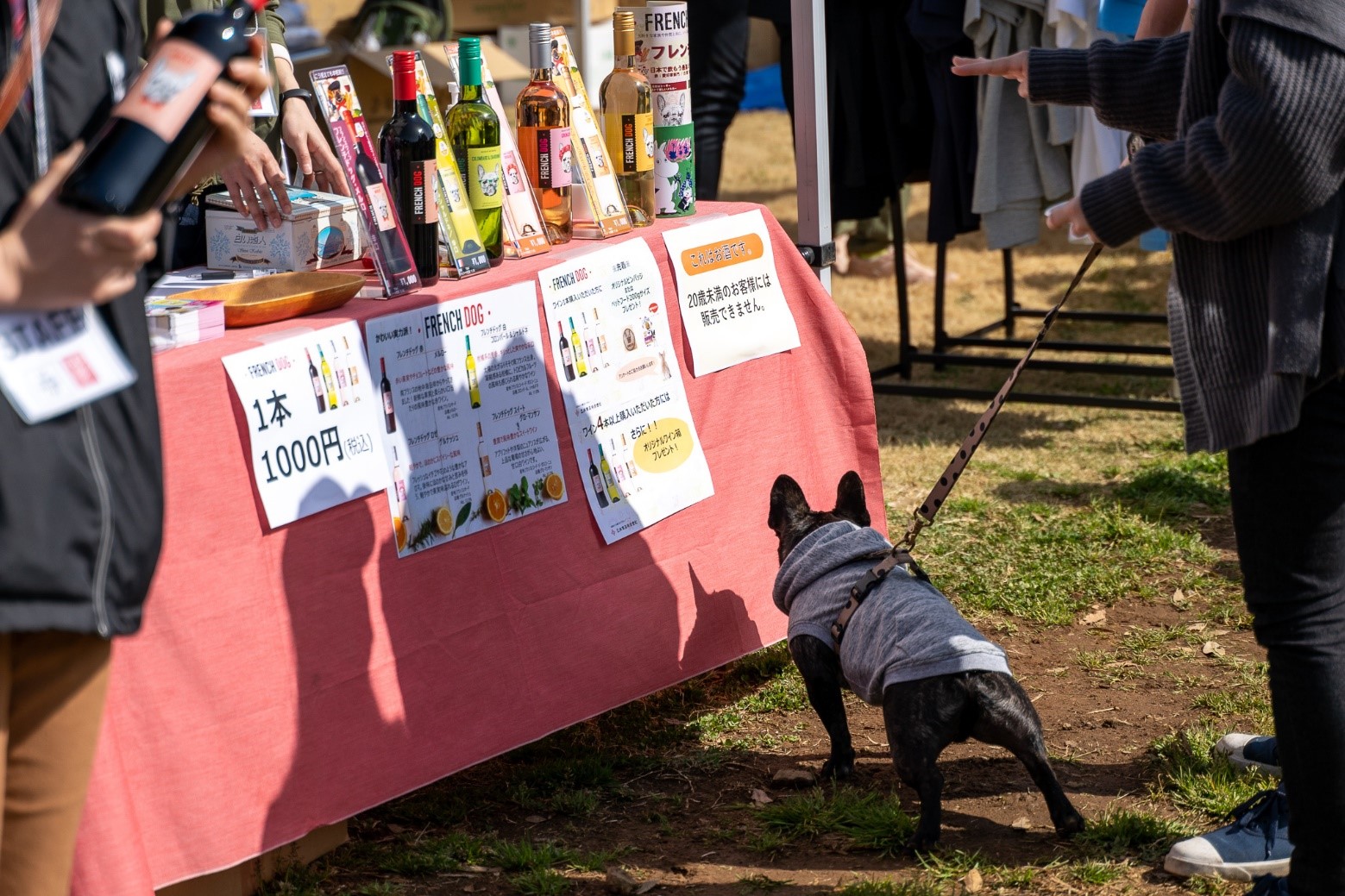 rakanuAuFrench Bulldog LIVE in FB 2022vJÁ@1,000̃tu2,000ȏオWI