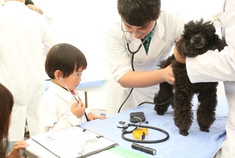 bt̎dɂĒmIƂӂꂠIOKCxgu2022Ӄf[ in JAPAN gWorld Veterinary Dayhv101(y)J
