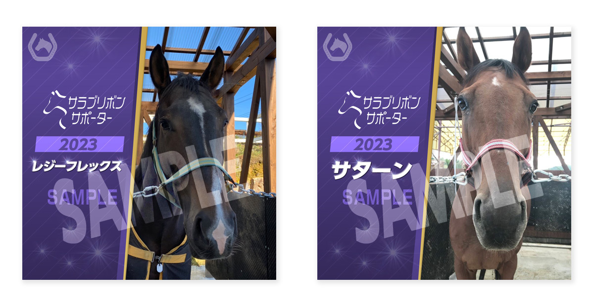 ӂ邳Ɣ[łňޔnx@HORSE PINSNFTuTu{T|[^[v̒񋟊Jn