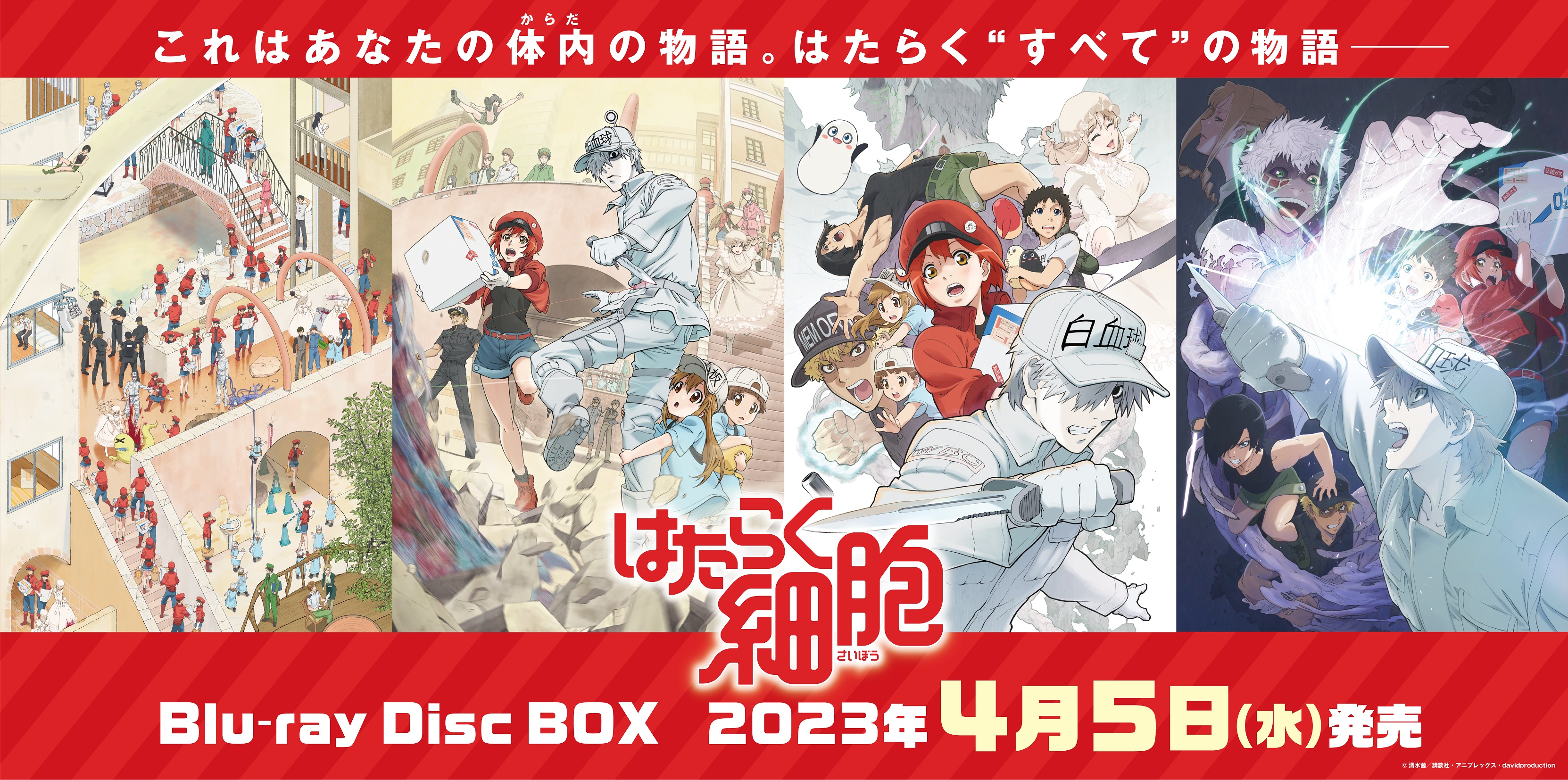 Aju͂炭זEvBlu-ray Disc BOX OwBOXEfWWPbgCXgmPVցI