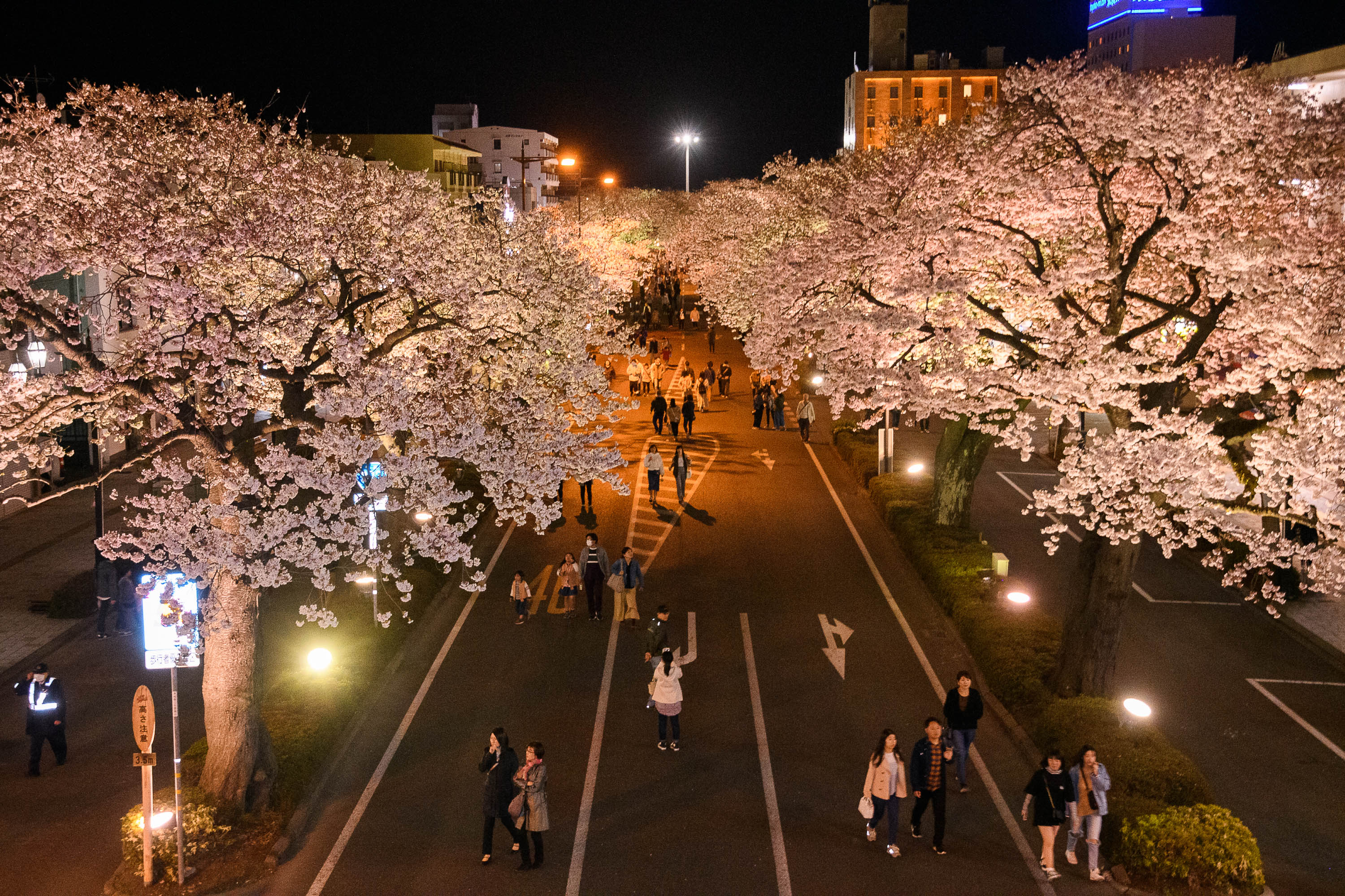 y錧szSPiyj`Xiju܂vJÁI