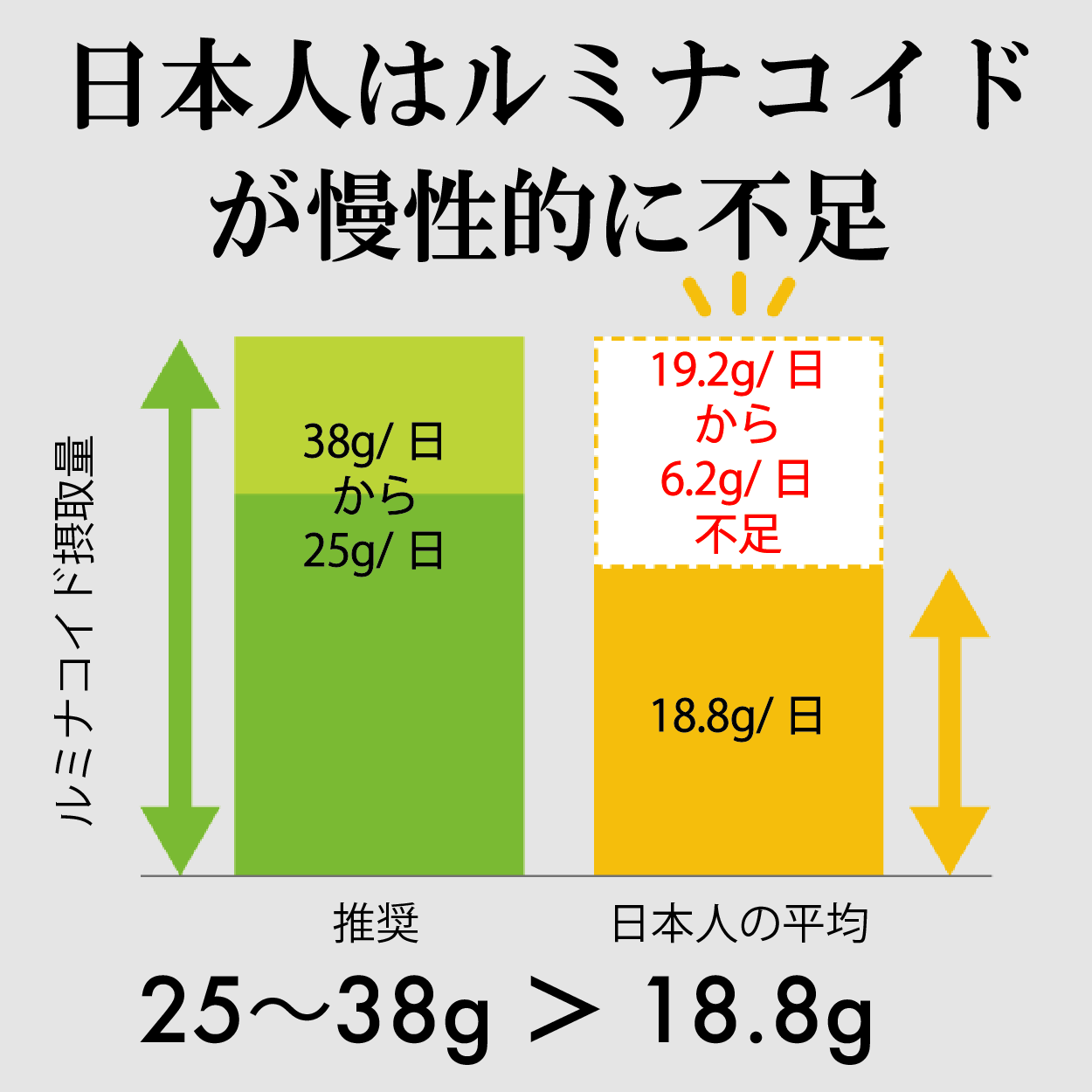 X|[c̓(109)LOA~NN[|zz@u^Kv~uyH@(~iRCh)vŃX|[cEAbv