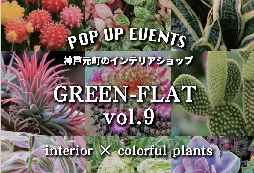 ϗtAWIIuGREEN-FLAT vol.9`interior~colorful plantsv113`115ɒcCeAVbvɂĊJÁI