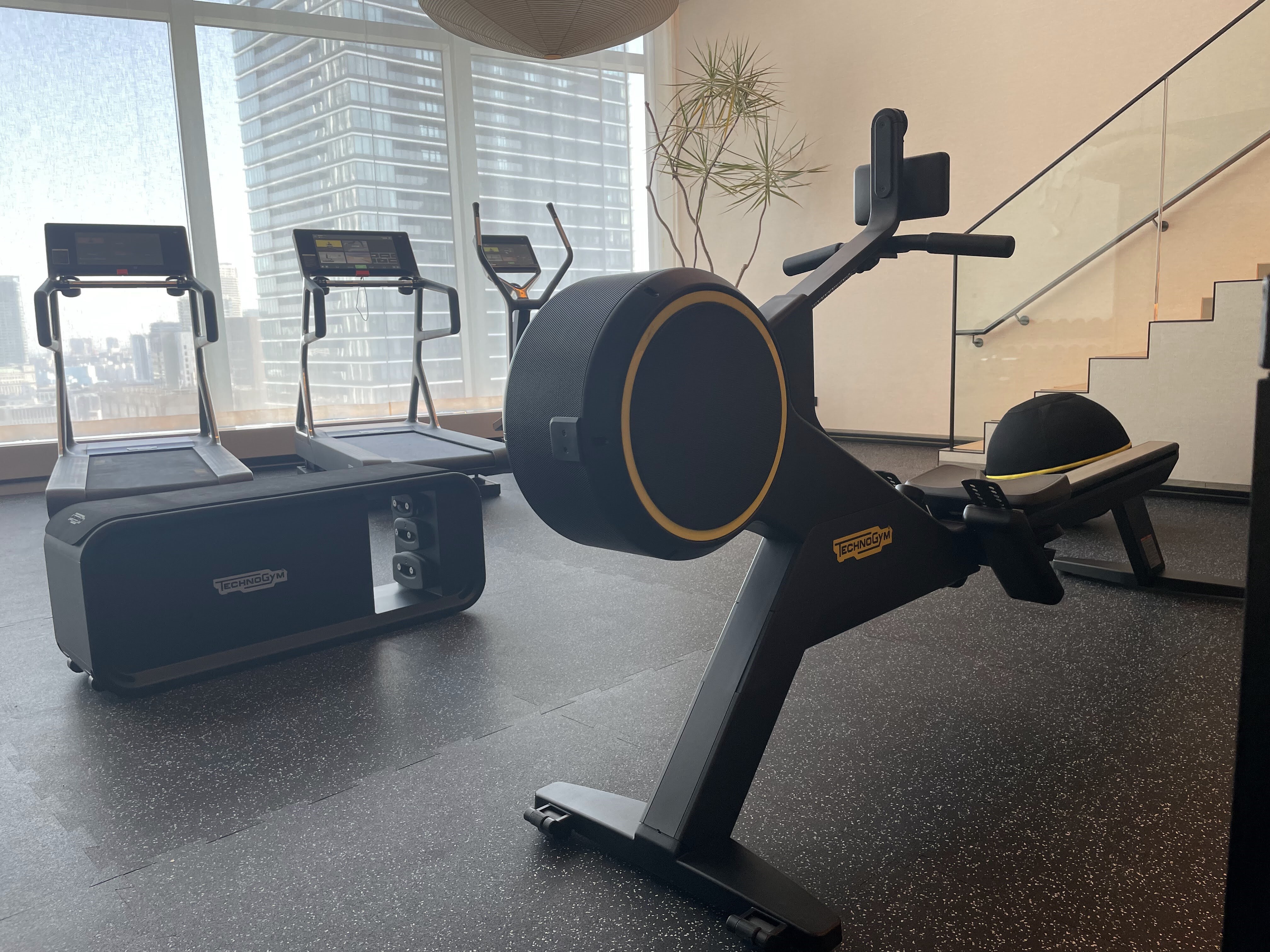 zeՃmqY ԌWTECHNOGYM HOME WELLNESS \[V