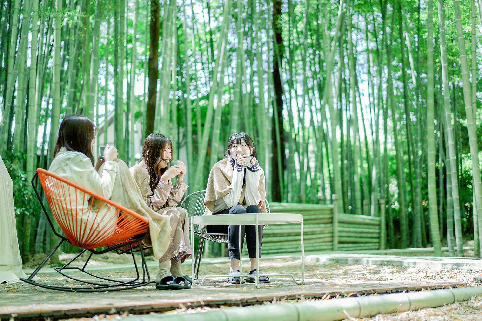 m\撅Tn~OsOTHE BAMBOO FOREST18΁`25΂ɂȁuU25Ewvv\t