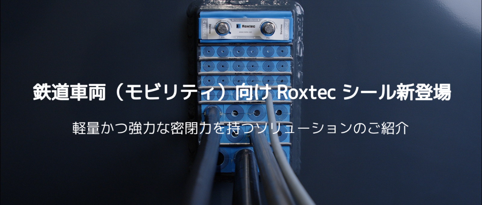 SԗireBj Roxtec V[VoI