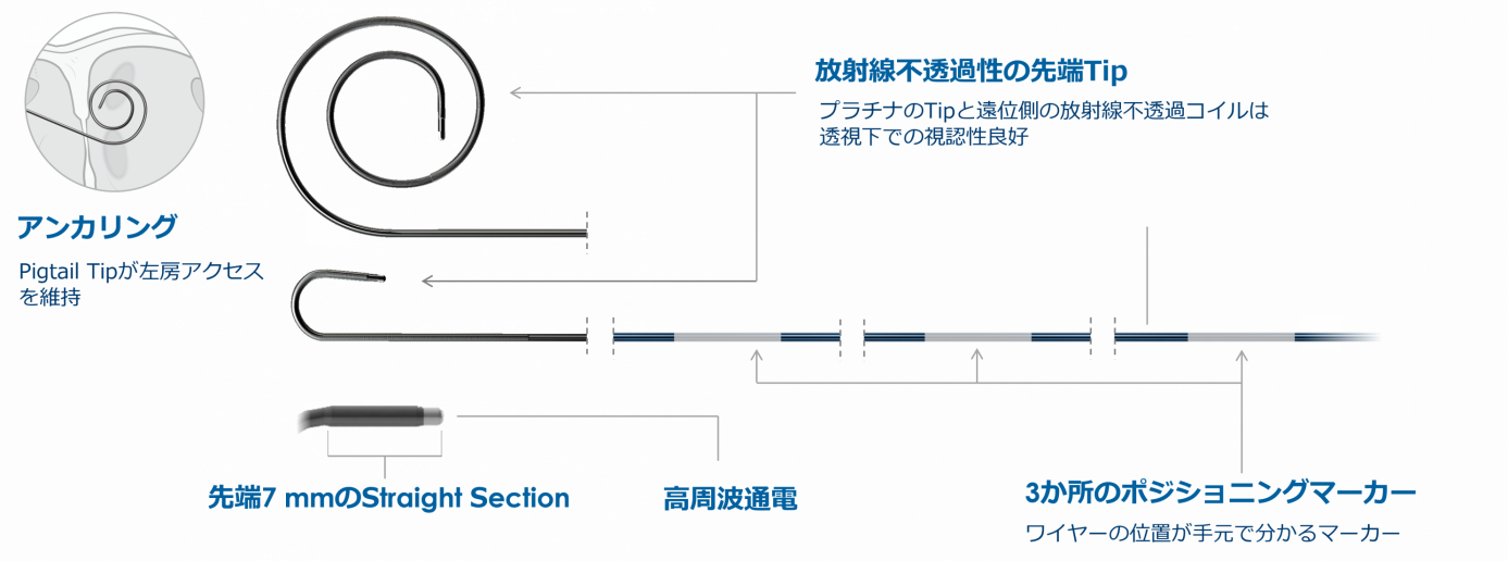 S[ÂɎgp鍂ǧoS[uhVXeuVersaCrossiTMjRF Transseptal Solutionv81V