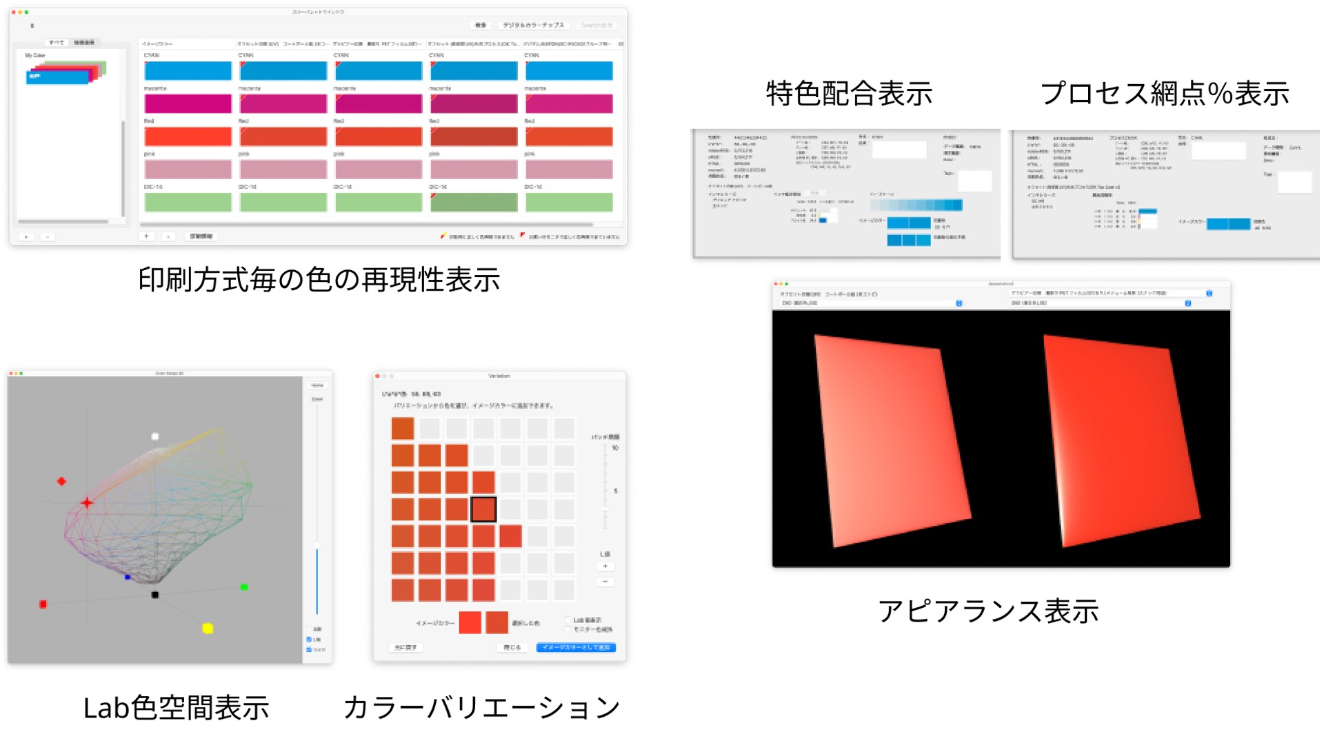 chbOtBbNXAJ[}lWgZppTuXNvV^CṽfW^T[rXuDIC COLORCLOUD Sv[X