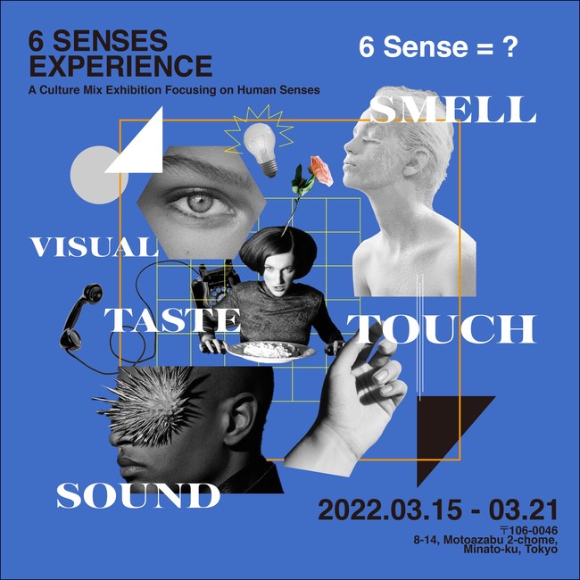 u6 Senses Experiencev֊ЃmAZXAyPizuya's CellARA[goW
