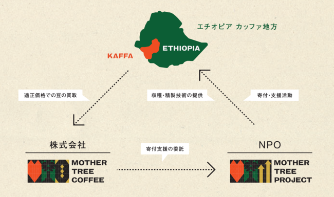 R[q[̌(=MOTHER TREE)琶܂ꂽR[q[uhgMOTHER TREE COFFEEh[X