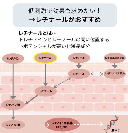 HAL SKIN {`i[0.1%zXLPAZuLipo-A Serumva