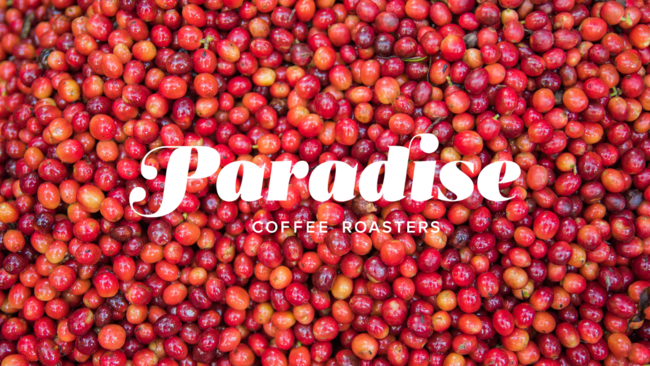 Eʂ̕]󂯂nC̃R[q[uh Paradise Coffee Roasters {gR[q[̔̔{ŊJnB