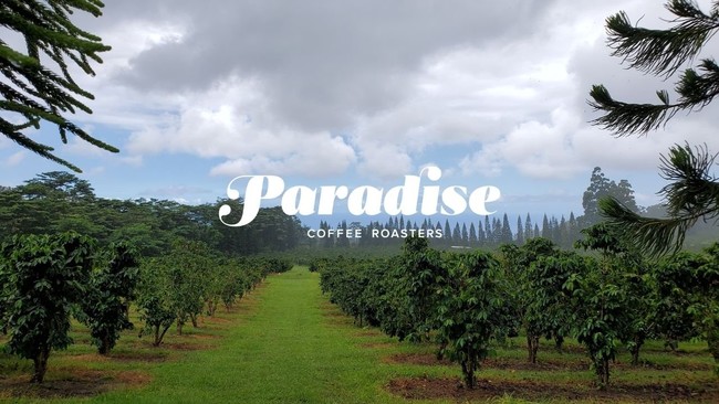 Eʂ̕]󂯂nC̃R[q[uh Paradise Coffee Roasters {gR[q[̔̔{ŊJnB
