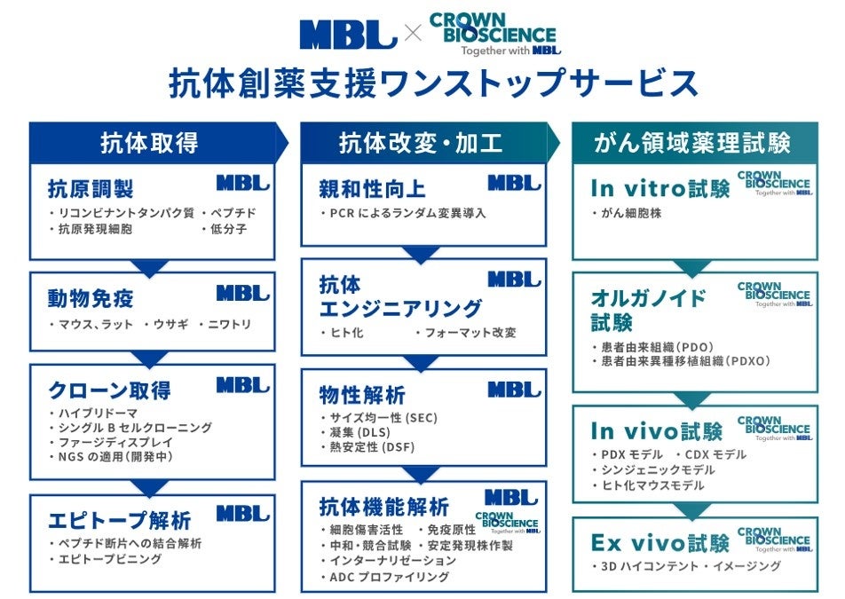 ynZpEFri[zR̍쐻E@\]炪̈ɂin vitro, in vivo򗝎܂Ł@- nxɂ郏XgbvT[rX -