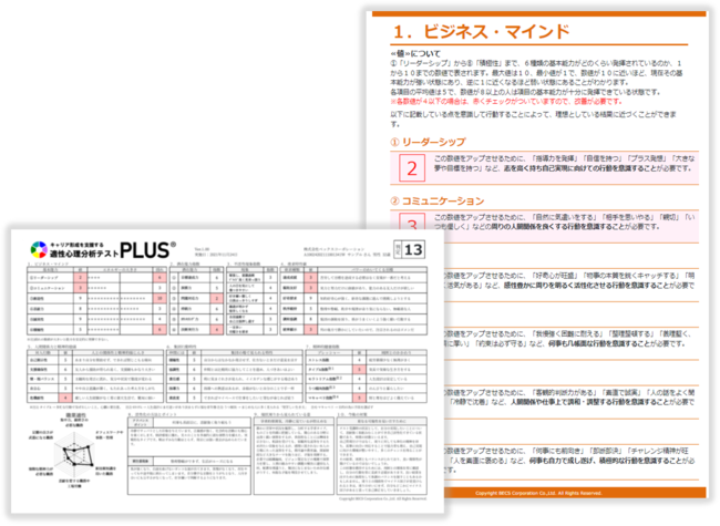 LA`xuKS̓eXg PLUSvA[XJnII