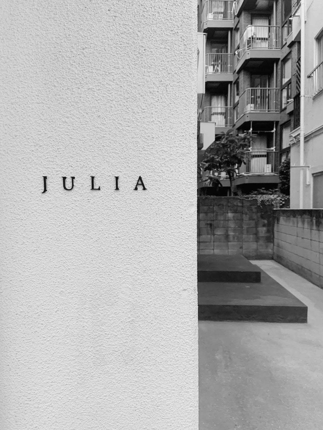 JULIA I@OOXguJULIAv`^CcƃX^[gI@CgR[XpӁI