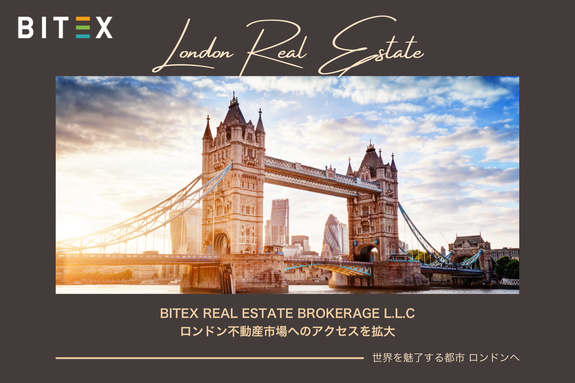 BITEX REAL ESTATE BROKERAGE L.L.CAhsYsւ̃ANZXg