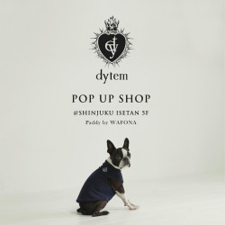 iŃs[^[l Small dogs wear  '' dytem ''  P19 ɐOVhXɂ POP UP X^[gIi  https://dytem.jp/@j