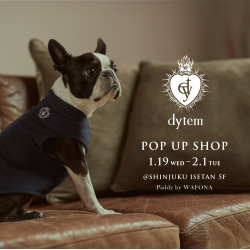 iŃs[^[l Small dogs wear  '' dytem ''  P19 ɐOVhXɂ POP UP X^[gIi  https://dytem.jp/@j