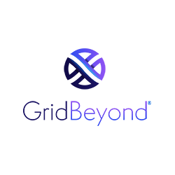 GridBeyond | E̍ŐVRO[oGlM[gh2024̃zCgy[p[({)𖳗J