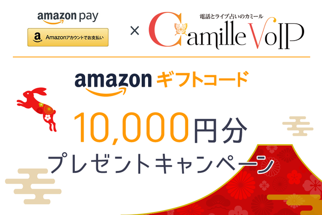 Cu肢 J~[VoIP  AmazonPayLy[