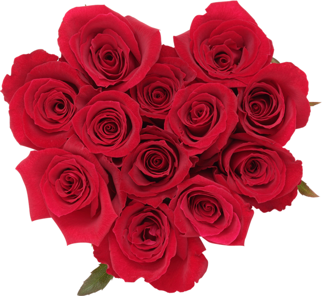 ut[o^C2022v ԁ~ًƎR{[VJI؂ȐlƉ߂ЂƂƂAo^CɉԂYā@https://www.flower-valentine.com/