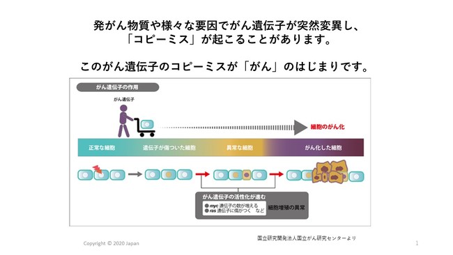 񋳈̔Wɂ{̂΍̂߂́A20/20geneSystems JapanЂ̊OutZ~i[