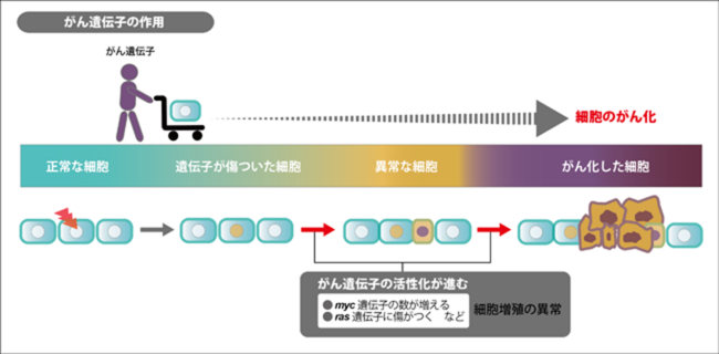 񋳈̔Wɂ{̂΍̂߂́A20/20geneSystems JapanЂ̊OutZ~i[