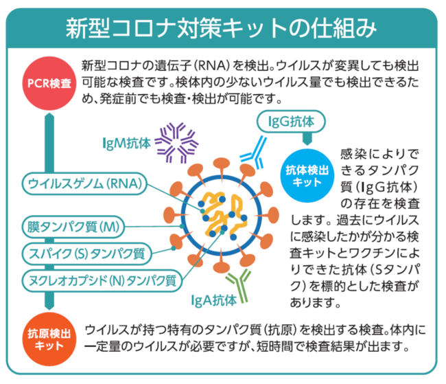 JȔFuNIpXCOVID-19 RLbgvi×pj́AƁAĉ֑S̔ΉJnB