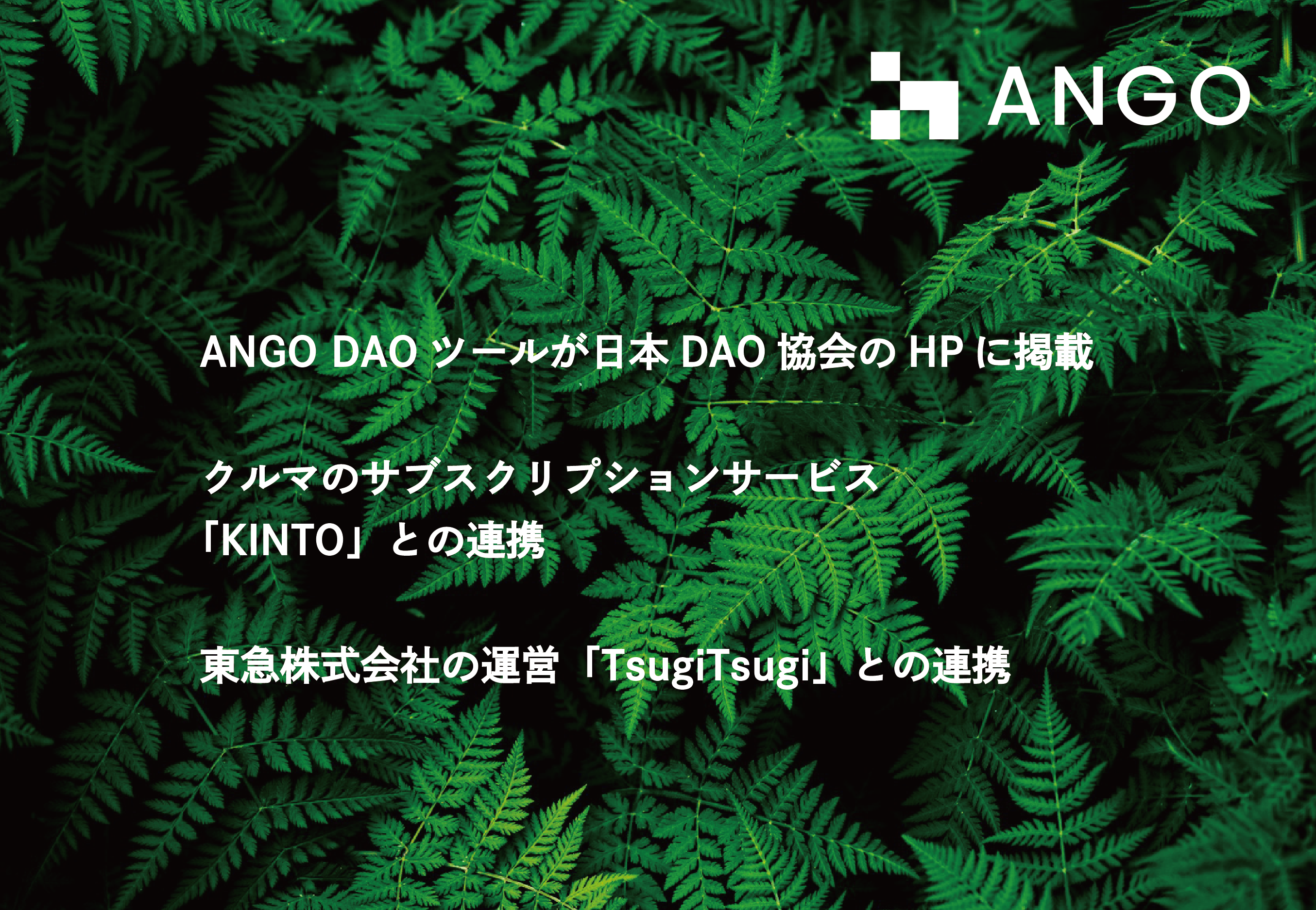 ANGO RWA DAOc[{DAOHPɌf-}ЁuTsugiTsugivƘAg-uKINTOvƘAg