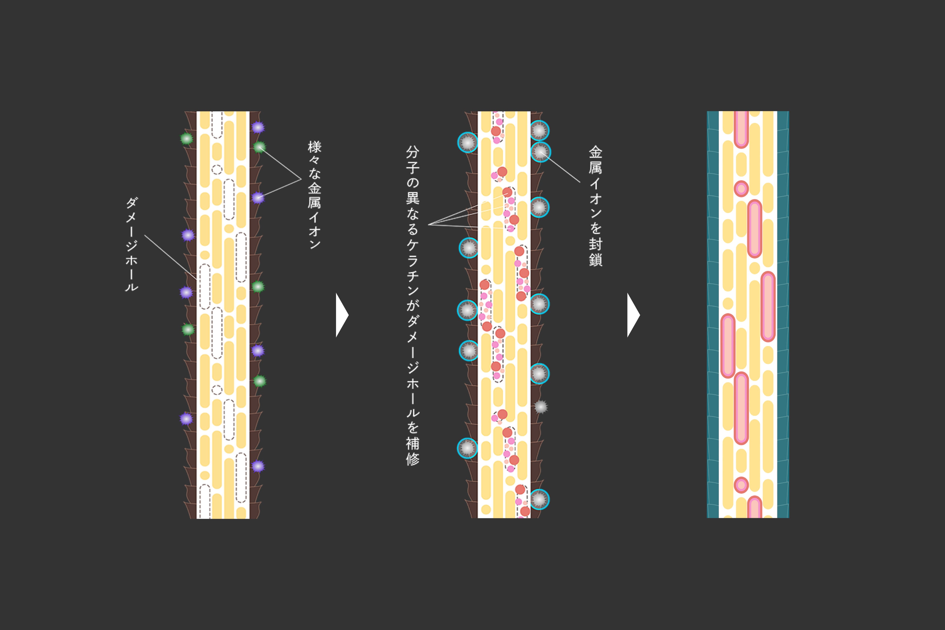 LOWBALAviuhuIRONOWAvTwAJ[uCHROMATECHv64i΁j蔭