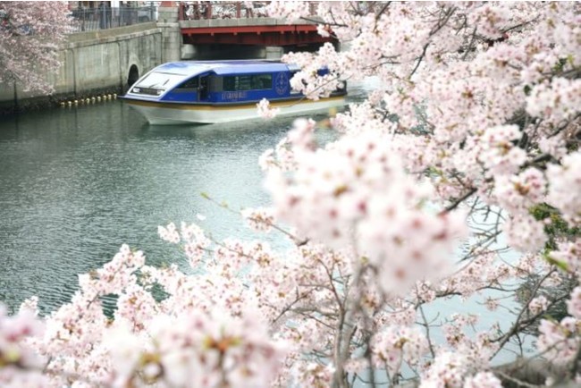 Cruise & Stay `Sakura` 2022