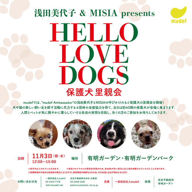 cq & MISIA presents "HELLO LOVE DOGS ی쌢e