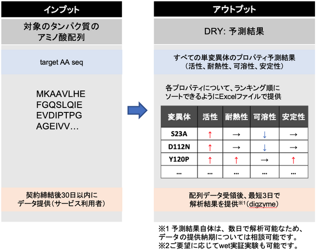 yfJ~AIdigzymeAyYpyf@\ǃT[rXudigzyme Spotlightv[`