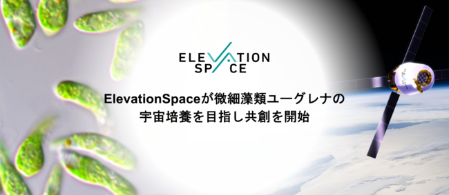 ElevationSpaceבރ[OỉF|{ڎwnJn