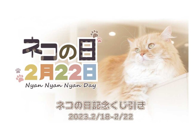 350ȏI222̓lRIlRIlRIND]MOFFlR̓Cxg{[AbvINwlR̓2023(Nyan Nyan Nyan Day)x JÂ܂I