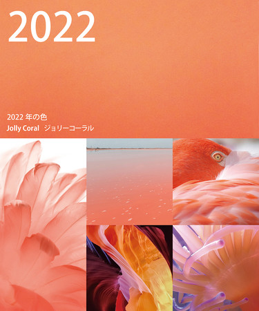 2022N̐F́Au邢]`AR[v