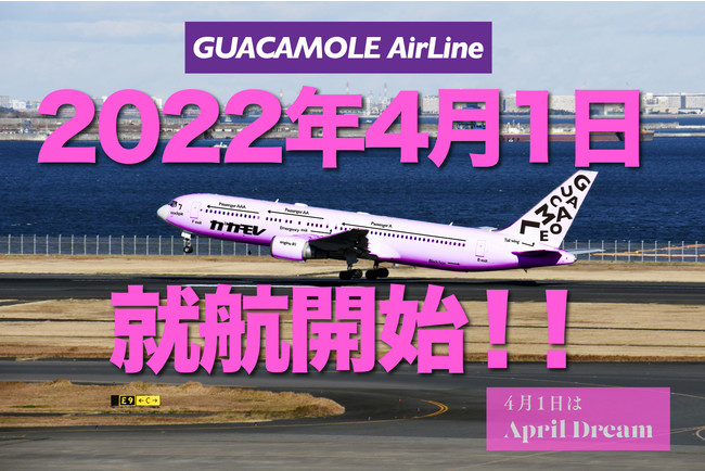 GUACAMOLE JAPAN 2022N41GUACAMOLE AIRLINȄAqJnI@@@@@@