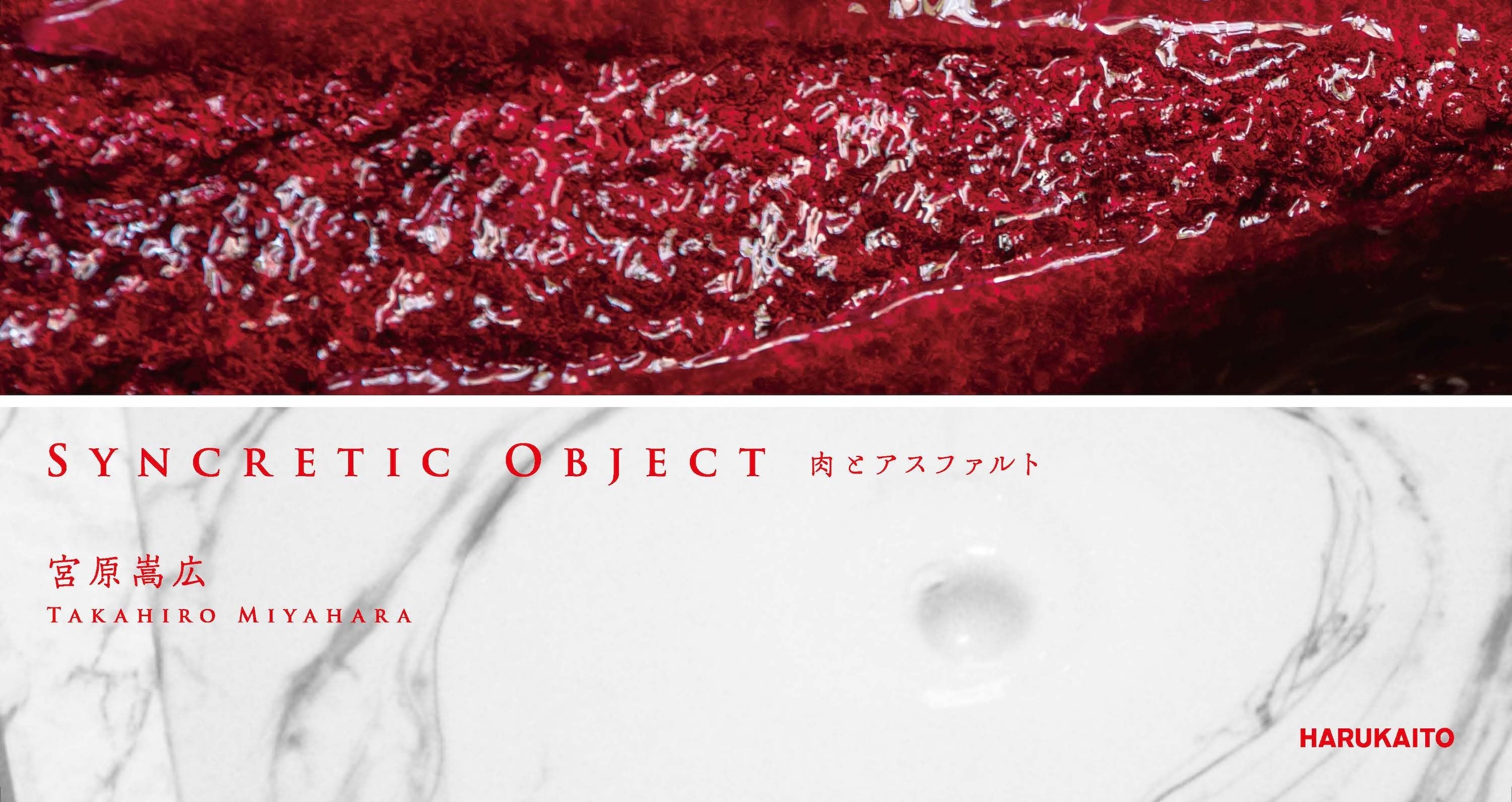 {L WuSyncretic Objectv̂点