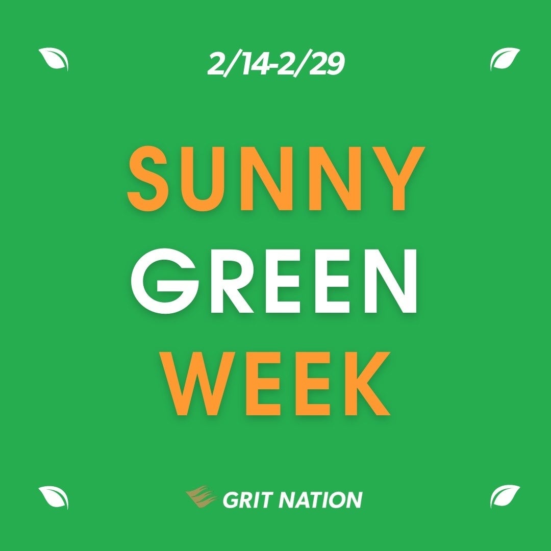 O[ɖAr^~TvguLypo-C+DvƑÃR{[VIԌPOP UPuSUNNY GREEN WEEKvJÁI