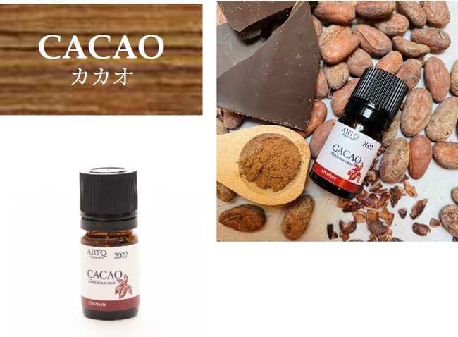 ARTQ ORGANICS(A}eB[N I[KjNX)AyރJtFA}`CACAO/COFFEE/CHAI`wCAFE AROMA FAIR 2022x21()J