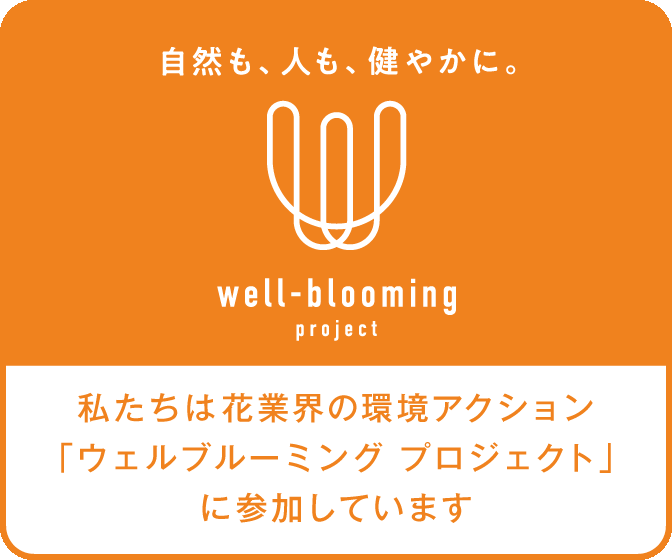 6ԂS300̉ԓXŁuwell-blooming projectviI ANV錾sX^[g