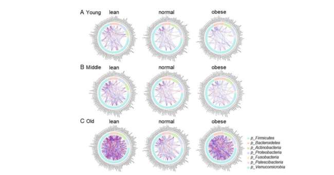 wʉꂽNȓ{l̕ϓIȒ׋ۑpɊւ_ABioscience of Microbiota, Food and HealthɌfڂ܂