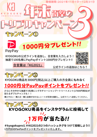 KYOGOKU PROFESSIONAĽTCgɂPayPaył̌ς\ƂȂ܂B